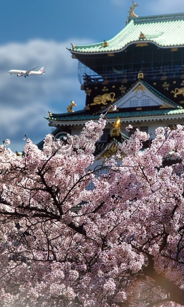 飛行機や大阪城、桜などの木々や花々