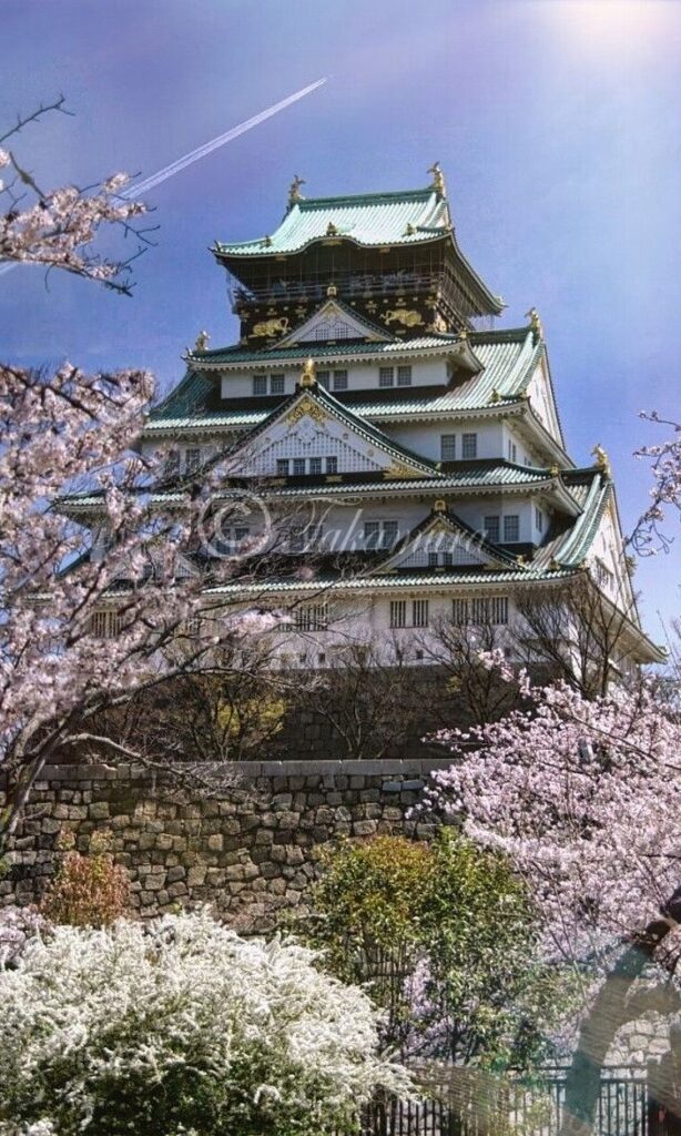 飛行機雲と大阪城や桜などの木々や花々