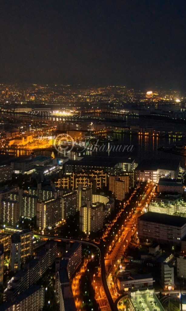 大阪のさきしまコスモタワー展望台から見た夜景風景
