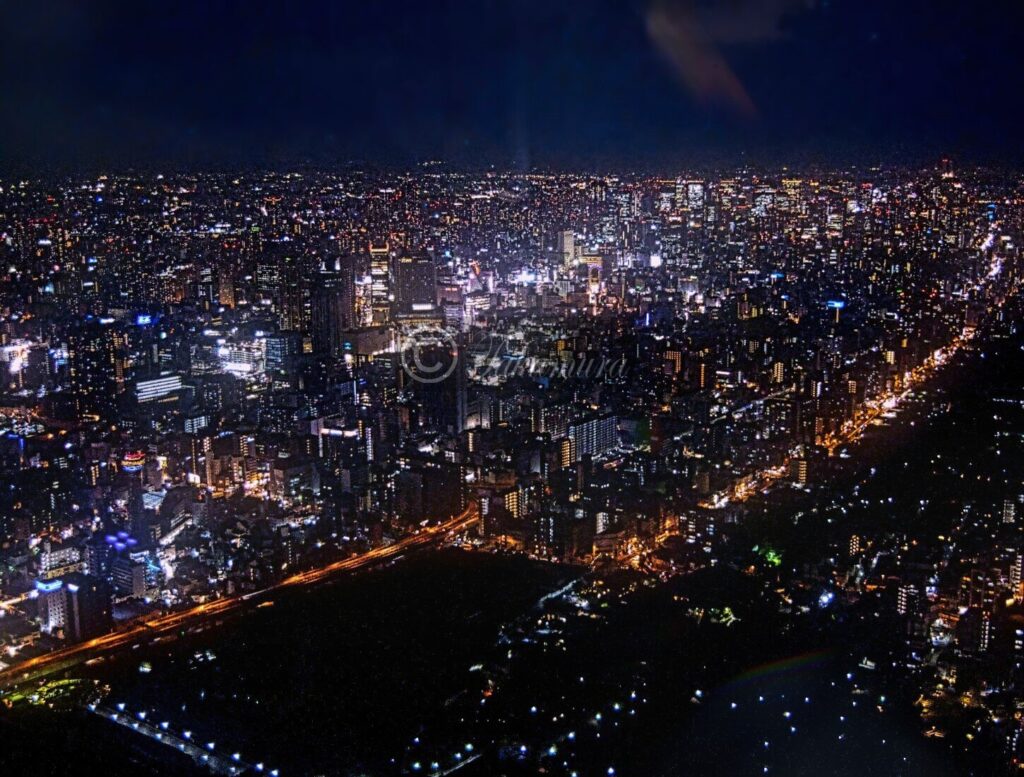 あべのハルカス300m展望台の斜め方向から見た煌めく大阪の大都市ビル群の風景写真